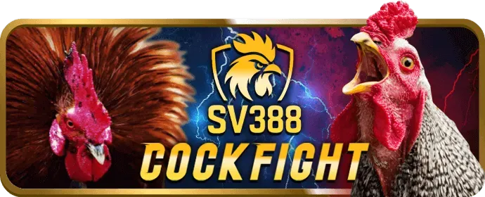 Thưởng nạp lại hàng ngày cho Slot